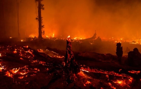 Incendios en Indonesia. Foto/Tomada de Internet