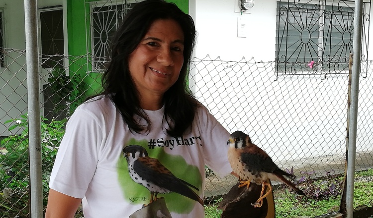 Karla Aparicio: Urge concienciar sobre el valor del águila harpía | Panamá  América