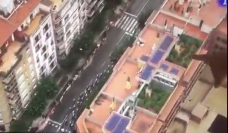 Las plantas de marihuana se ven en la azotea. Foto Captura