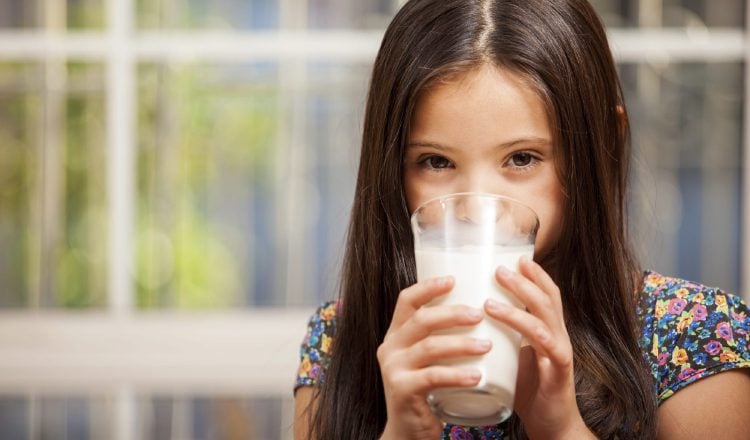 La leche y los productos lácteos son  alimentos que  aportan, a través de una sola toma, parte de los nutrientes que el cuerpo necesita. /Foto: web