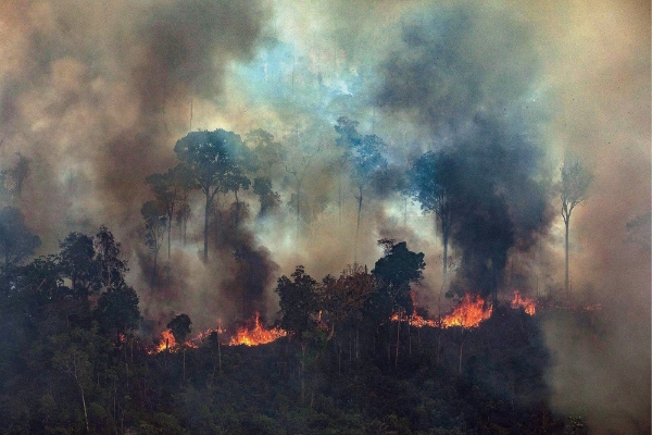 El mundo tiene motivos para preocuparse, pero debe tratar a Brasil con delicadeza. (EFE/Victor Moriyama)