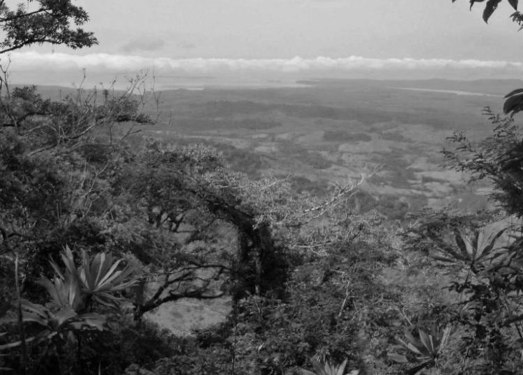 Cerro Pechito Para'o en Darién, desde donde Vasco Núñez de Balboa divisó el Mar del Sur, el 25 de septiembre de 1513. Foto: Archivo.