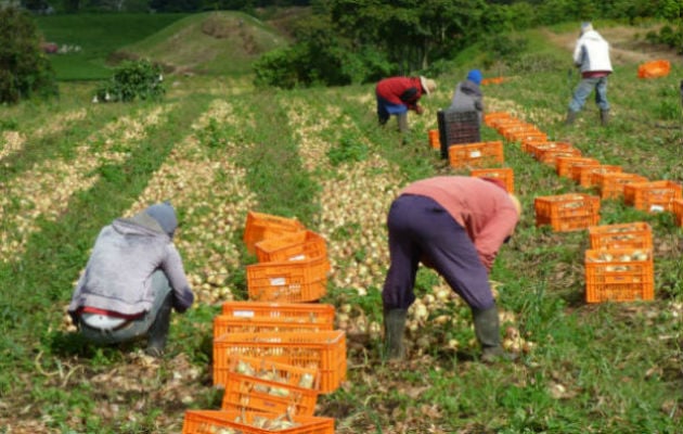 El pasado 24 de julio, los productores entregaron un pliego de peticiones con nueve puntos 