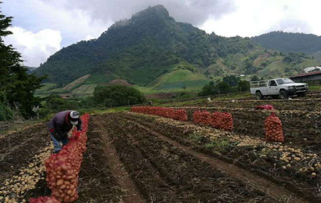 Los productores de proteínas cárnicas se mantendrán atentos 