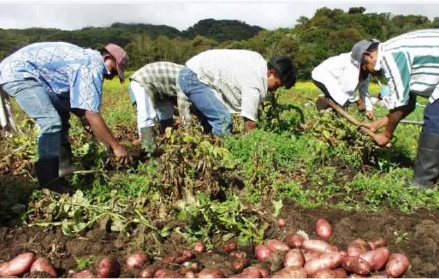 Las cifras oficiales demuestran que el sector agropecuario viene en picada desde hace varios años.