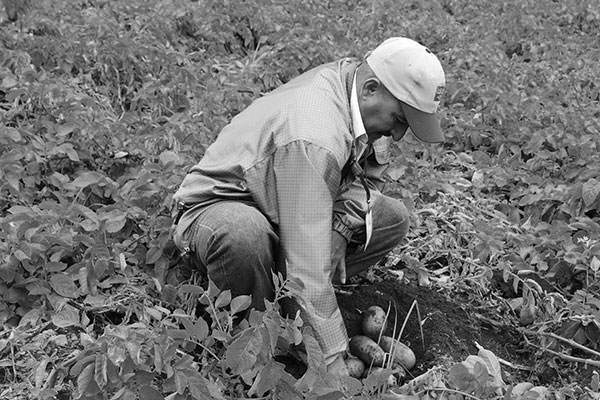 Los productores agropecuarios luchan por lograr seguridad y la soberanía alimentaria.