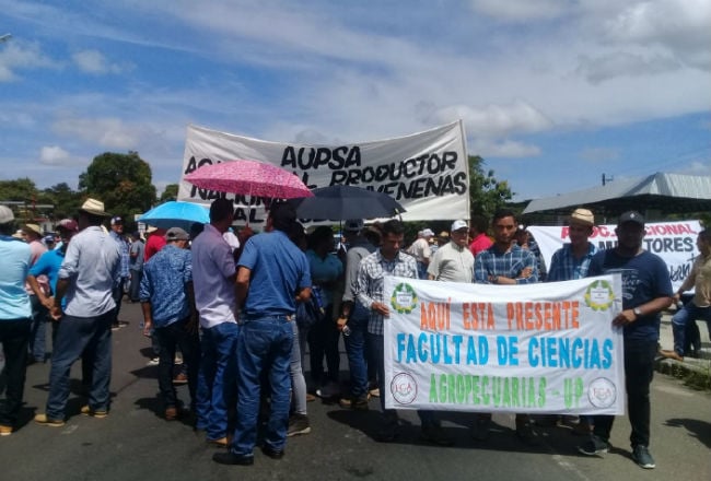 Los productores  dicen que Juan Carlos Varela está faltando a la verdad. /Foto Archivo