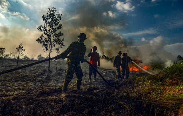 Grandes turberas han sido reemplazadas por granjas de aceite de palma en Asia. Una plantación en llamas. (Wahyudi/Agence France-Presse — Getty Images)