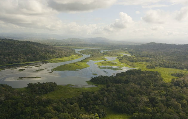 El Río Chagres es el principal afluente del Canal de Panamá. Los terratenientes en la Cuenca pueden tomar decisiones sobre el uso de la tierra más respetuosas con el medio ambiente cuando existen programas de Pago por Servicios de los Ecosistemas. Crédito:  Archivos Smithsonian