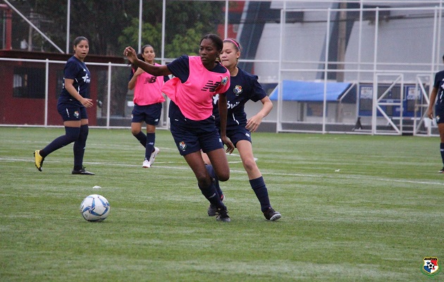 El equipo femenino entrenará  jueves y viernes. @Fepafut